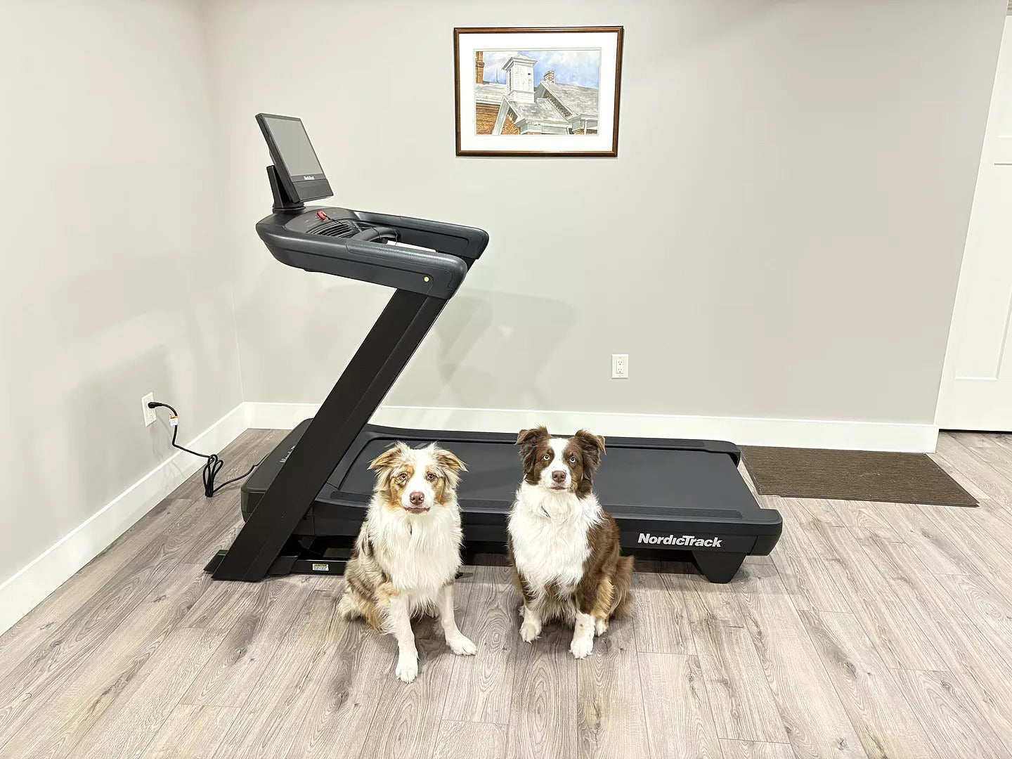 COMMERCIAL 2450 Treadmill