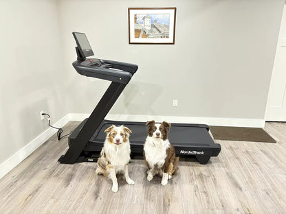 COMMERCIAL 2450 Treadmill