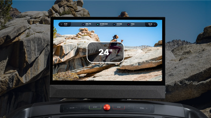 COMMERCIAL 2450 Treadmill